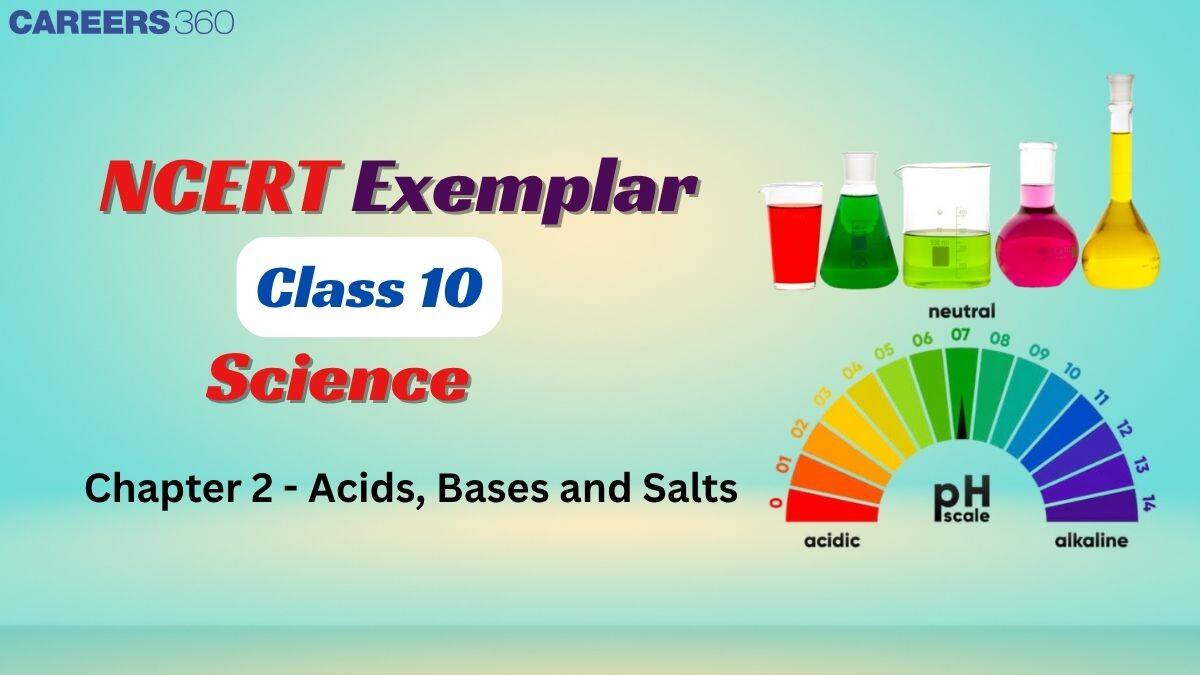 NCERT Exemplar Class 10 Science Solutions Chapter 2 Acids Bases And Salts